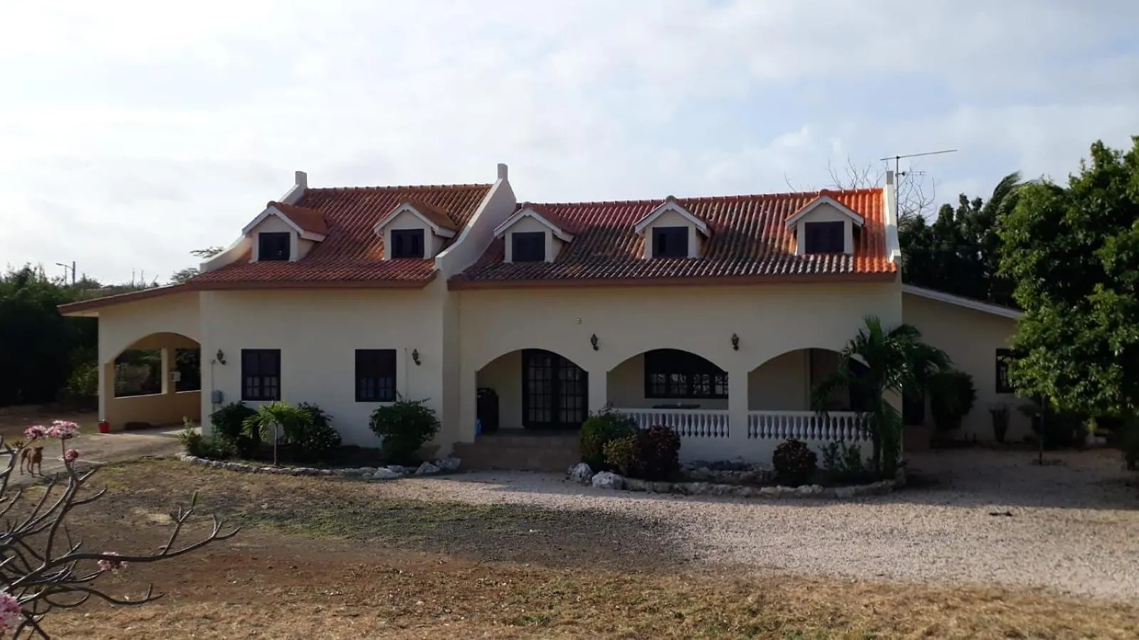 Liams Paradise Apartment Willemstad